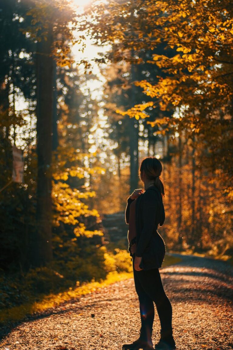 pexels susydrake 18523993